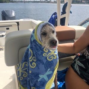 Meet your Posher, Eva